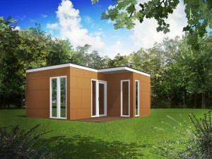 maja 20 m2, lamekatus, ilupilt 20